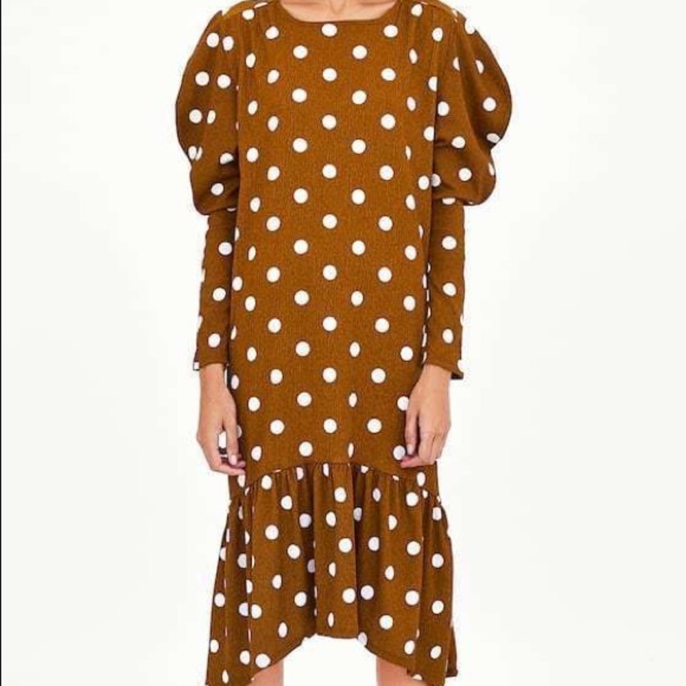 Zara Brown and White Polka Dot Ruffle Dress